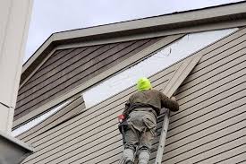 Best Custom Trim and Detailing for Siding  in Lmer Heights, PA